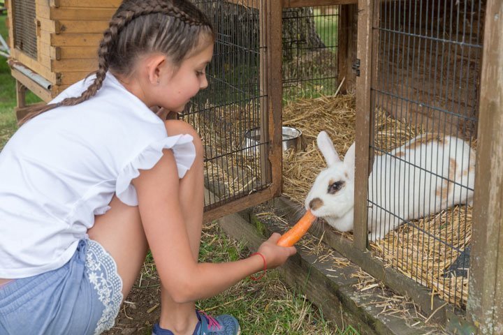 Alles bereit zum Bauernhofurlaub mit Kindern in Südtirol