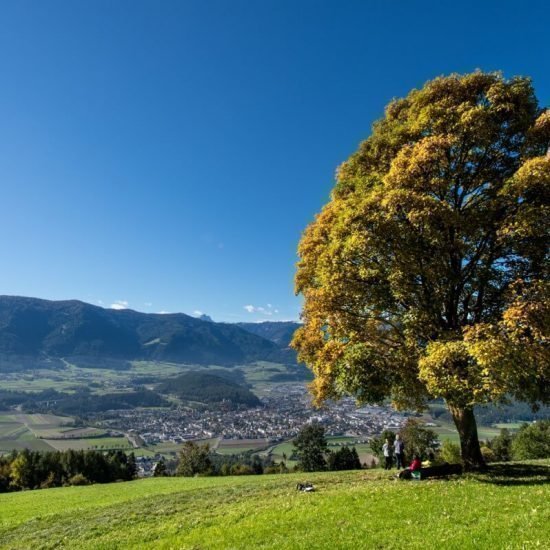 Urlaub in Südtirol | Bäckerhof Taisten/Welsberg