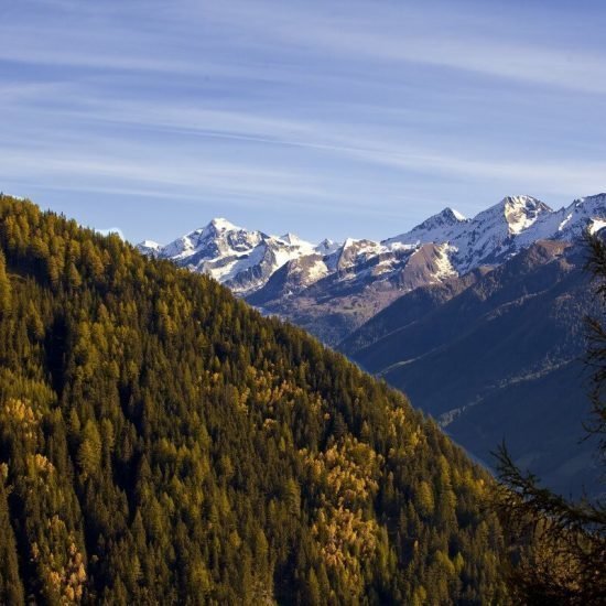 Impressioni di Maso Bäckerhof