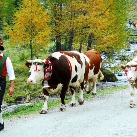 Urlaub in Südtirol | Bäckerhof Taisten/Welsberg