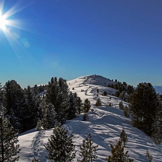 Urlaub in Südtirol | Bäckerhof Taisten/Welsberg