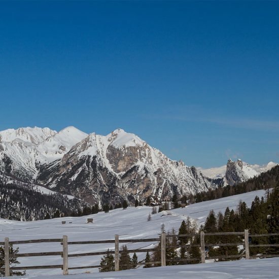 Urlaub in Südtirol | Bäckerhof Taisten/Welsberg